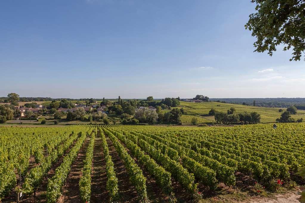 Chateau D'Arche, Grand Cru Classe De Sauternes Ανέσεις φωτογραφία