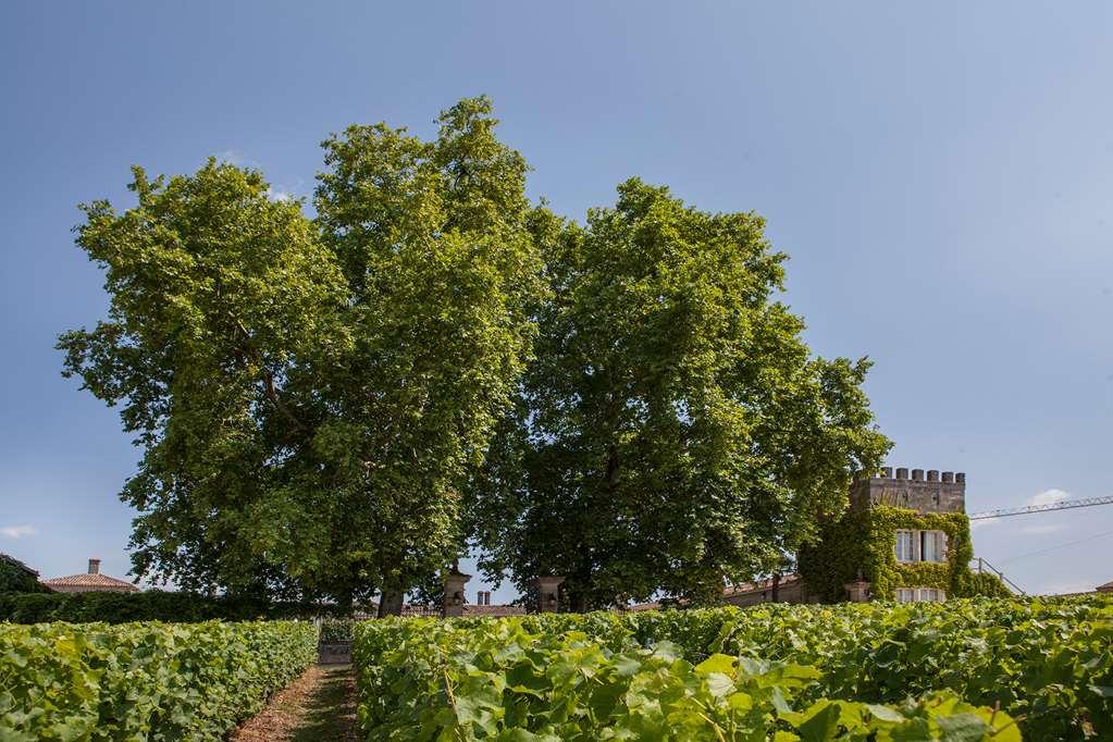 Chateau D'Arche, Grand Cru Classe De Sauternes Ανέσεις φωτογραφία